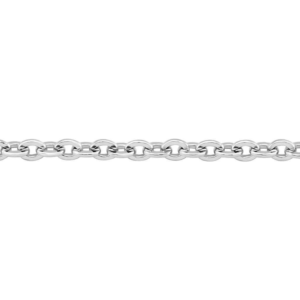 Damen Ankerkette Weißgold 375  - Halsketten Damen | OROVIVO