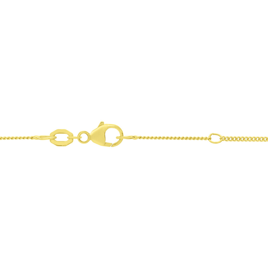 Damen Panzerkette Gold 375  - Halsketten Damen | OROVIVO