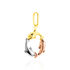 Anh&auml;nger Gold 375 Tricolor Delfin 