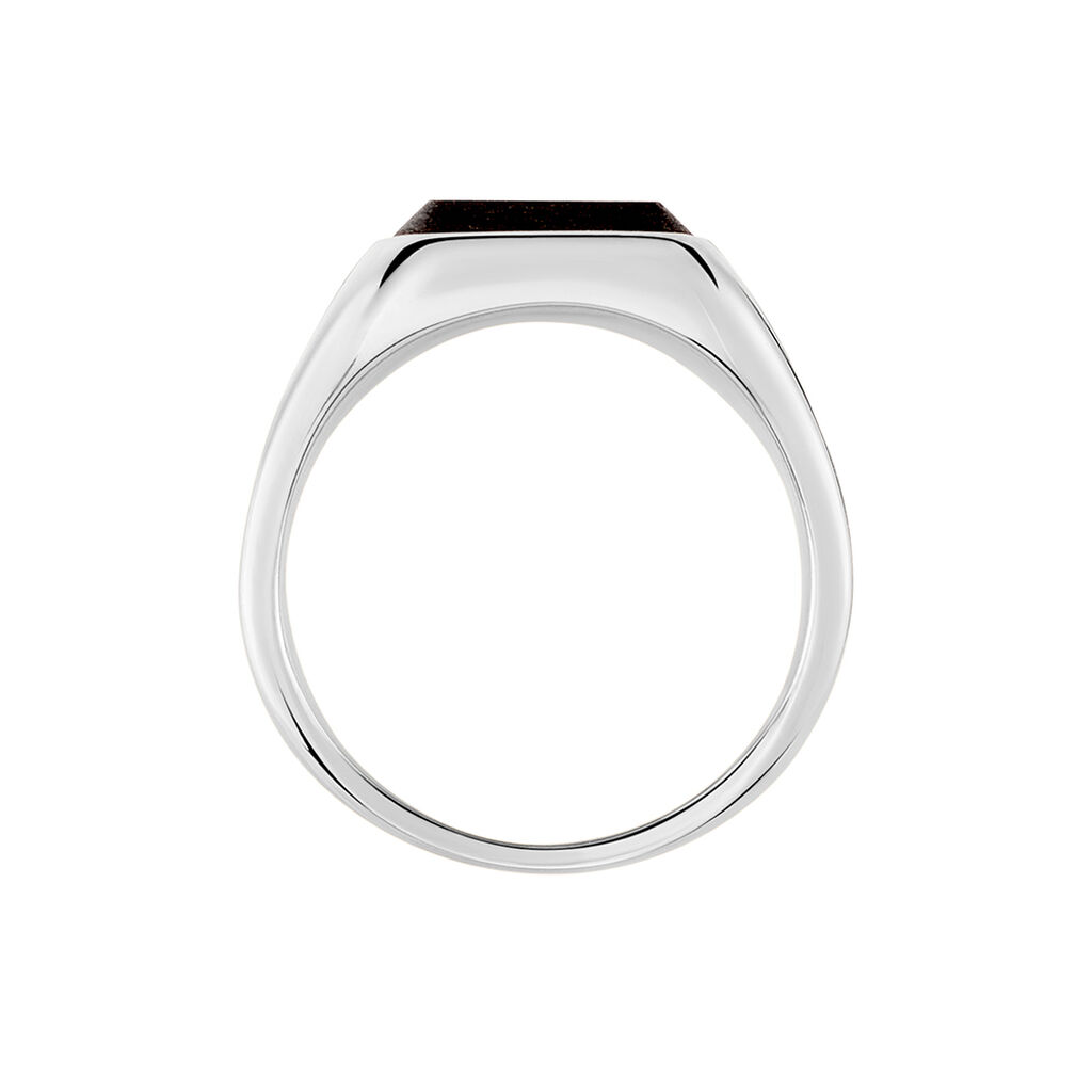 Chevali&egrave;re Brut Acier Argent&eacute;