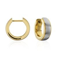 NORAH Damen Creolen Titan Bicolor Gelb/Silber B 4,7 mm