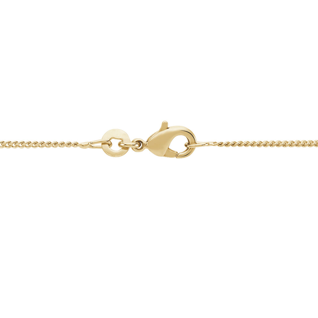 Chaine Plaqué Or - Spannringe Damen | OROVIVO
