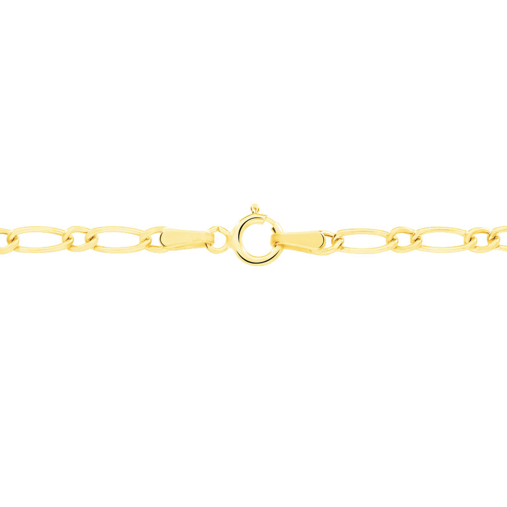 FIGARO 1/1 Damen Kette Gold 375 (9 Karat) B 2,5 mm - Halsketten Damen | OROVIVO