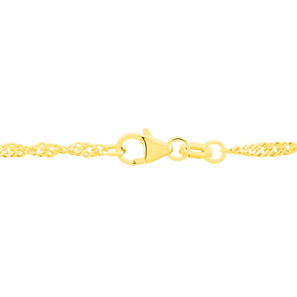 Damen Singapurkette Gold 375  - Halsketten Damen | OROVIVO