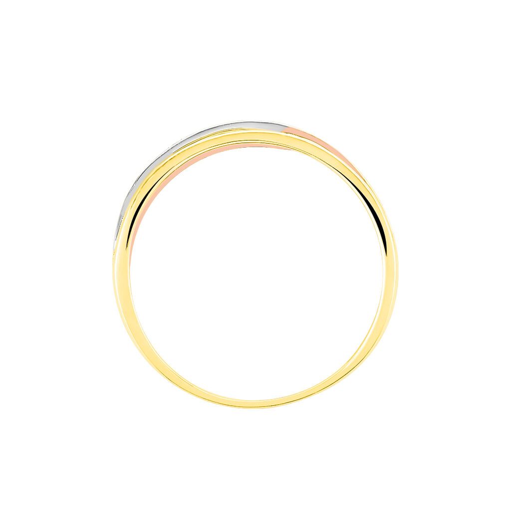 Damen Ring Gold Tricolor Gold/Roségold/Schwarz 375 Diamant 0,05ct Croisee 4  - Solitärringe Damen | OROVIVO