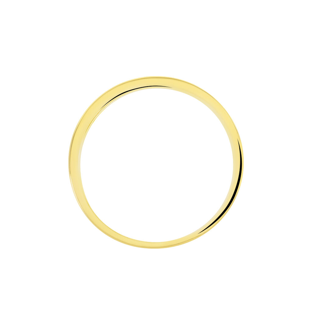 Damen Ring Gold 750 Diamant 0,06ct Memo Jata  - Eheringe mit Stein Damen | OROVIVO
