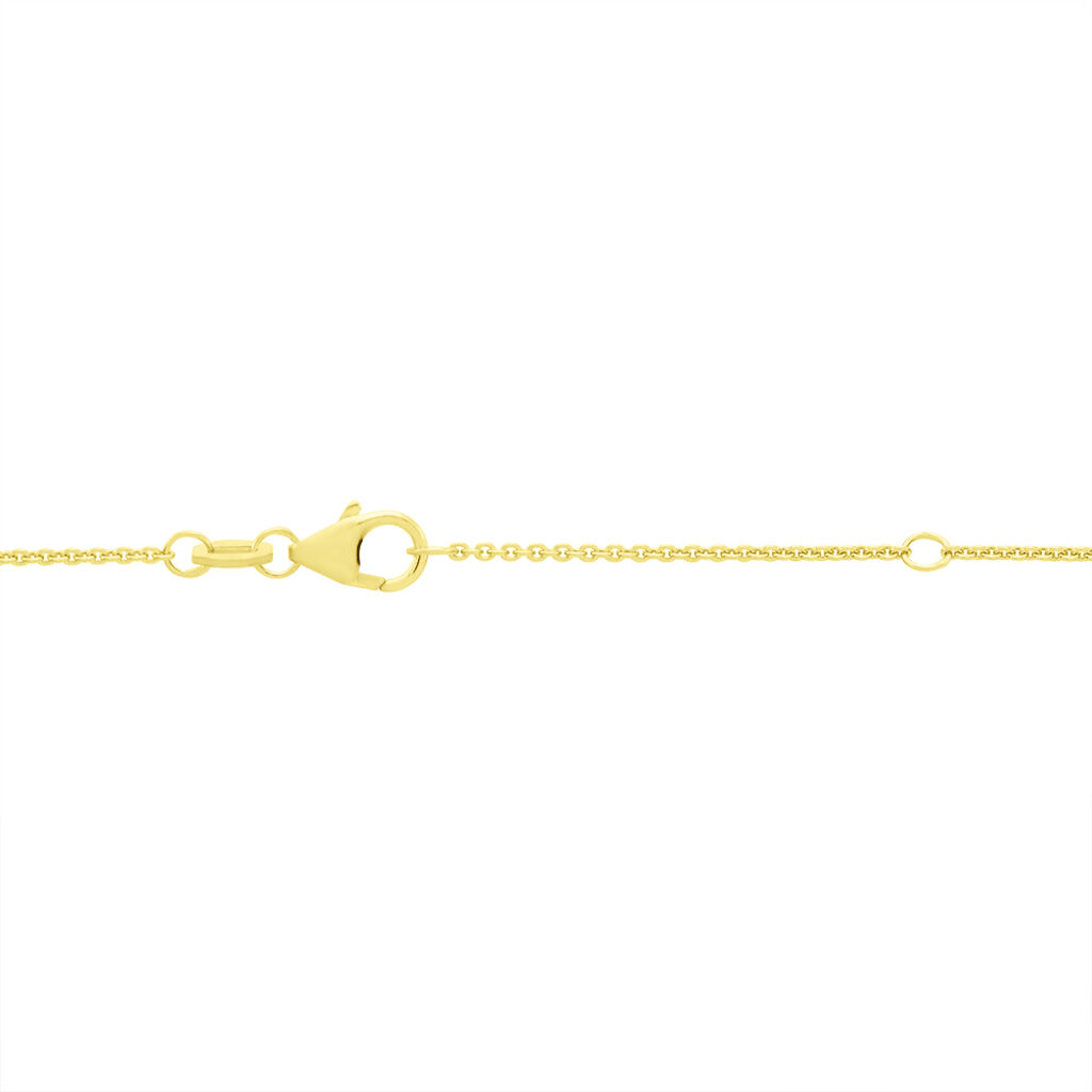 Kinder Ankerkette Gold 333  - Halsketten Kinder | OROVIVO
