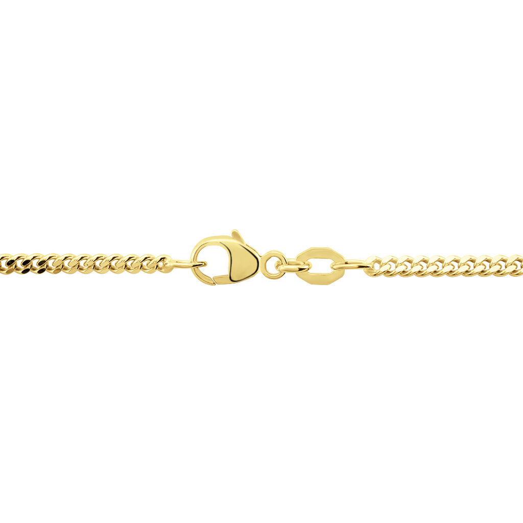 Unisex Panzerkette Gold 375  - Halsketten Unisex | OROVIVO