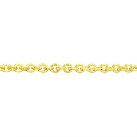 Damen Ankerkette Silber 925 vergoldet  - Halsketten Damen | OROVIVO