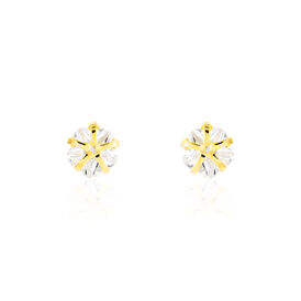 Damen Ohrstecker Gold 333 Zirkonia Blume 4mm Valdetja - Ohrstecker Damen | OROVIVO
