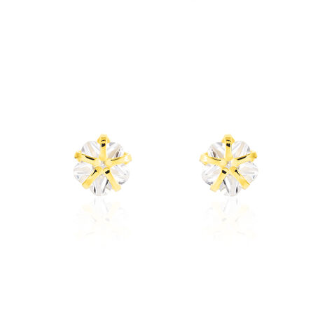 Damen Ohrstecker Gold 333 Zirkonia Blume 4mm Valdetja - Ohrstecker Damen | OROVIVO