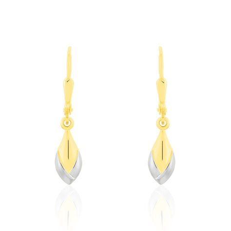 Damen Ohrhänger Gold 333 Bicolor - Ohrhänger Damen | OROVIVO