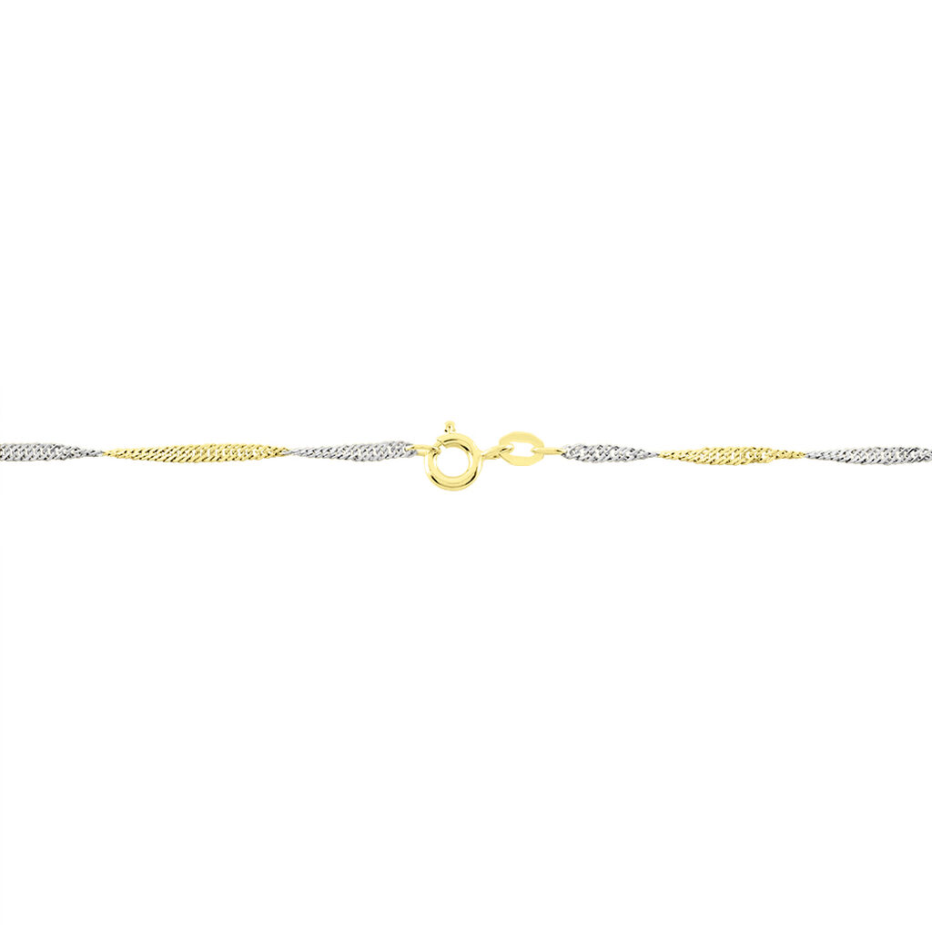 Damen Singapurkette Gold 375  - Halsketten Damen | OROVIVO