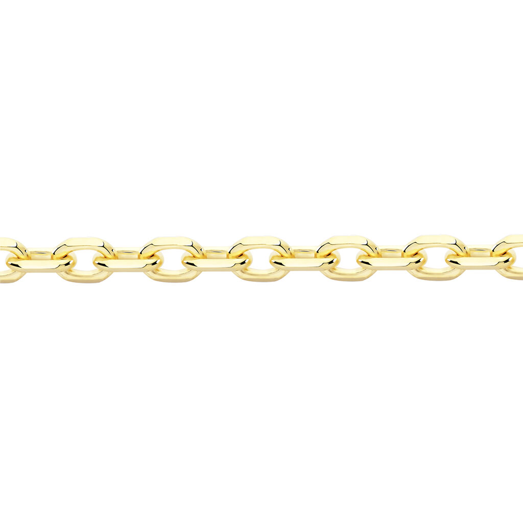 🦚 Damen Ankerkette Gold 375 Diamantiert , Kette ohne Stein