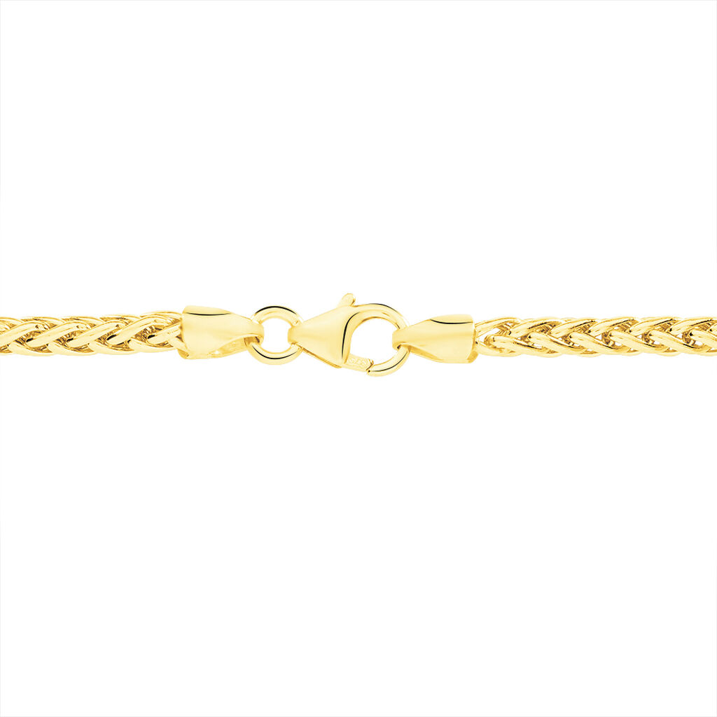 Collier Jany Danilo Maille Palmier Or Jaune - Spannringe Damen | OROVIVO