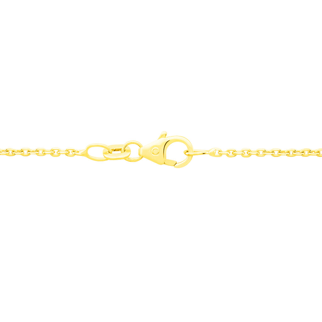Damen Ankerkette Gold 585 Diamantiert  - Halsketten Damen | OROVIVO