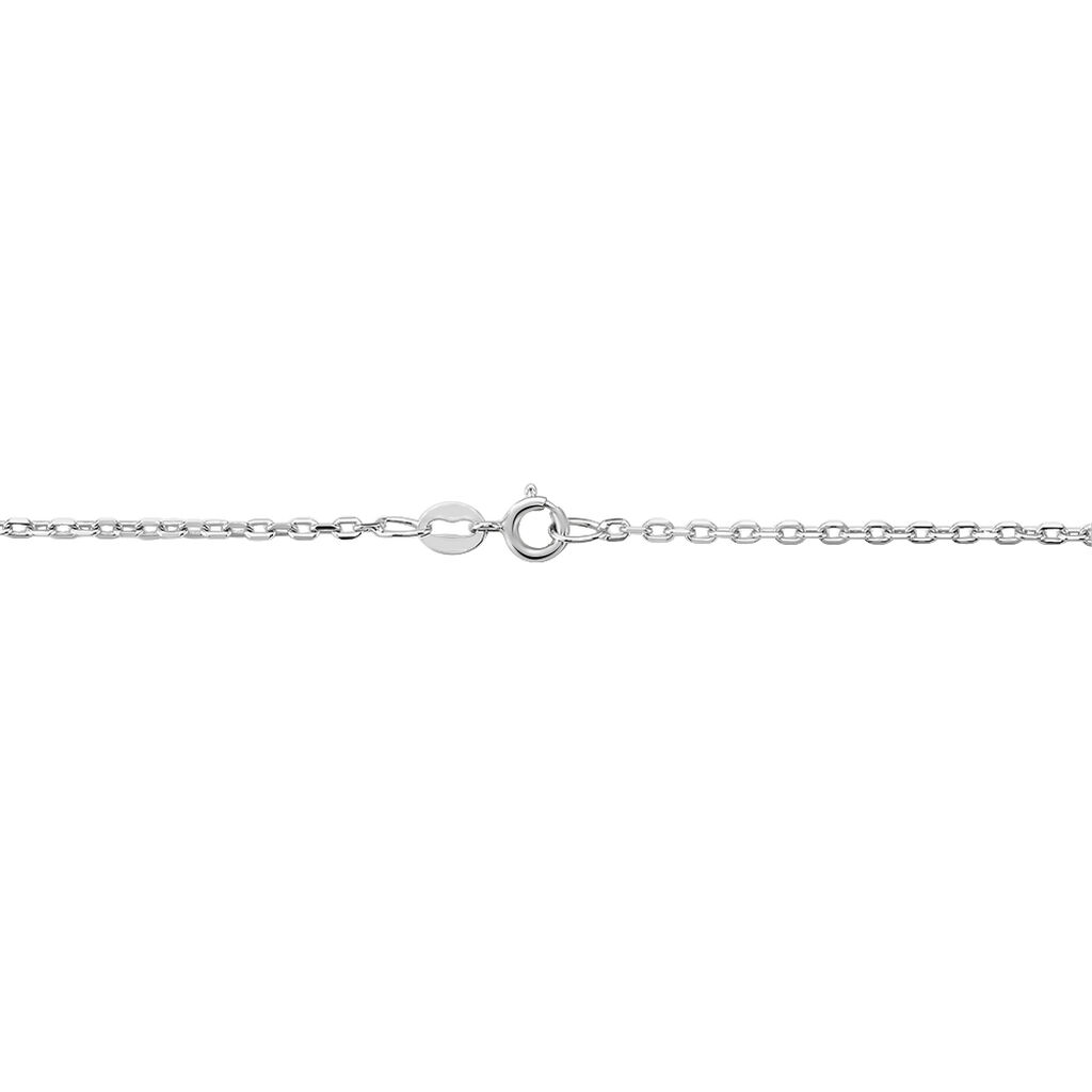 Chaîne Maille Forçat Diamantee Or Blanc - Spannringe Familie | OROVIVO