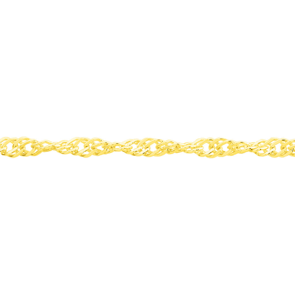 Damen Singapurkette Gold 585  - Halsketten Damen | OROVIVO