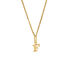 ALPHABET Unisex Anhänger Gold 375 (9 Karat) Buchstabe F
