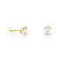 BOUTON Damen Ohrstecker Gold 375 (9 Karat) Zuchtperle Perlmutt