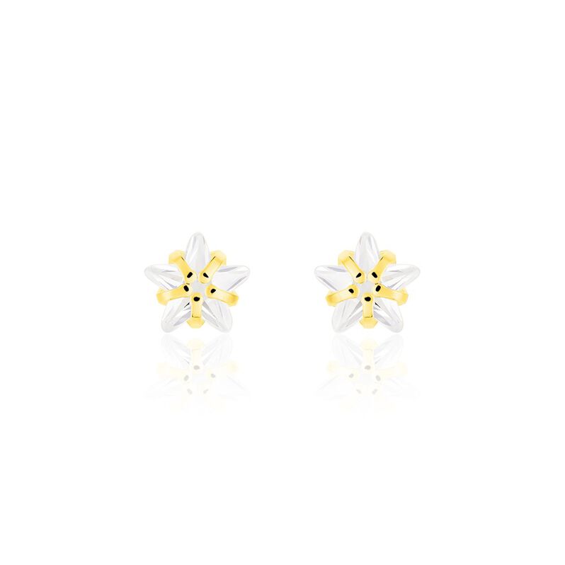 Ohrstecker Gold 333 Zirkonia Stern - Ohrstecker Familie | OROVIVO