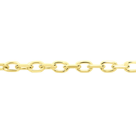 Damen Ankerkette Gold 375 Diamantiert  - Halsketten Damen | OROVIVO