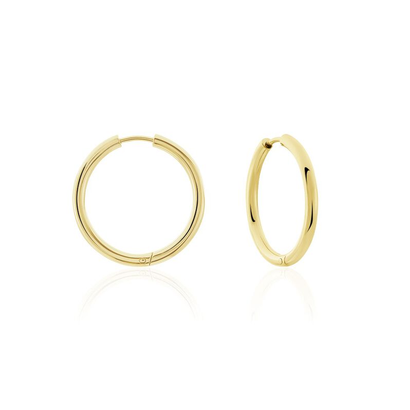 SCARLET Damen Creolen Titan vergoldet B 2,5 mm - Creolen Damen | OROVIVO