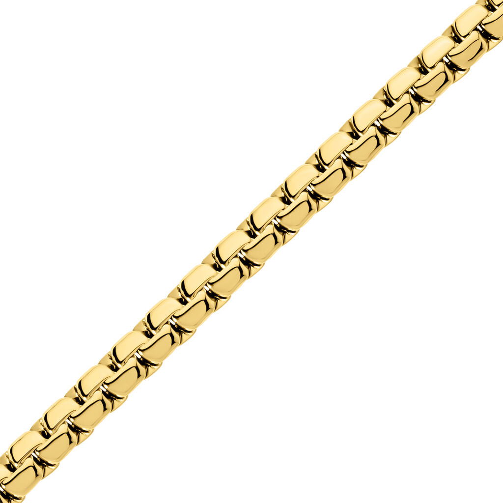 SERGIO Herren Armkette Edelstahl vergoldet B 6,8 mm