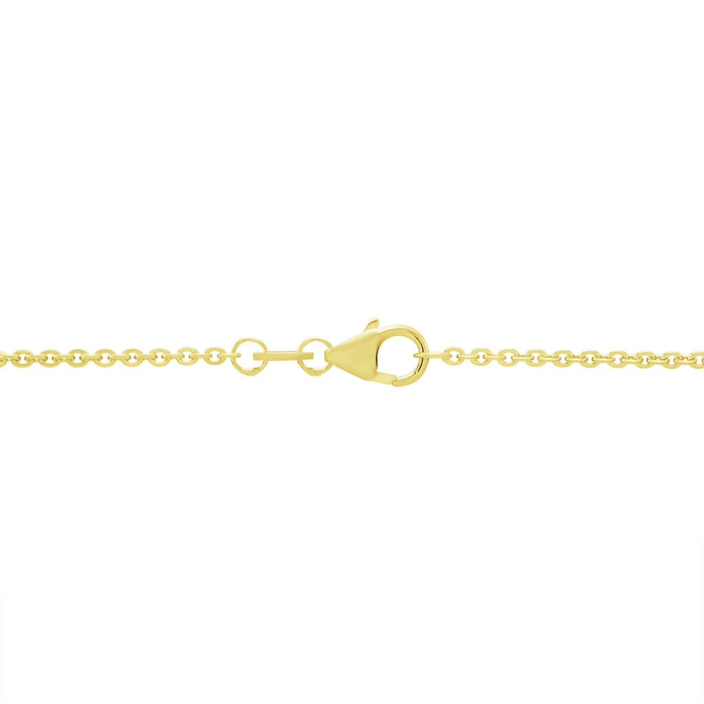 Damen Ankerkette Gold 375  - Halsketten Damen | OROVIVO