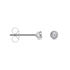 Delicate Damen Ohrstecker Weißgold 375 (9 Karat) Diamant Weiß 0,1 ct Kreis