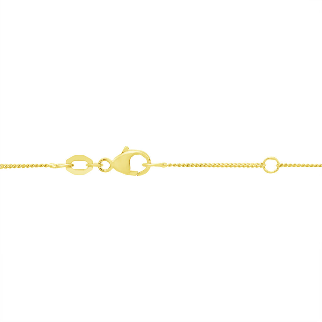 Damen Panzerkette Gold 375  - Halsketten Damen | OROVIVO