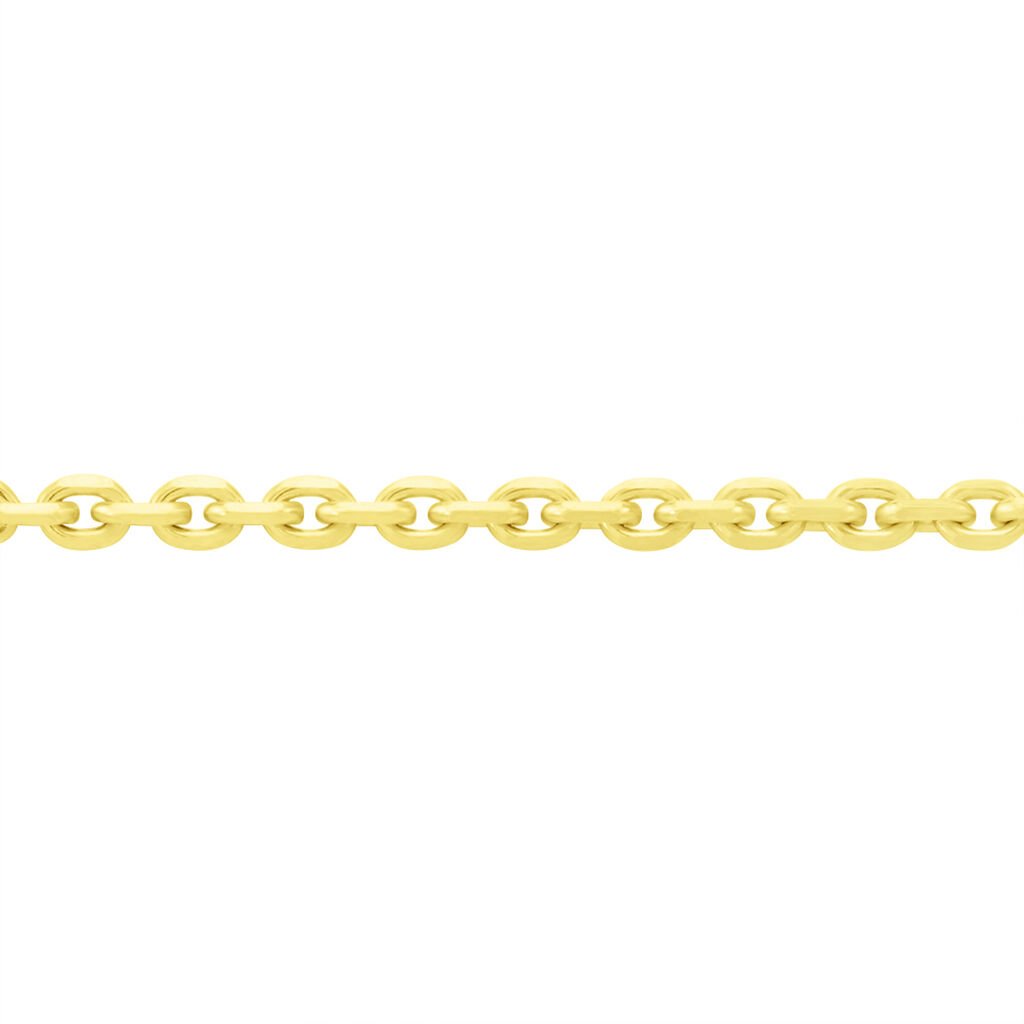 ANKER DIA. 8 Unisex Kette Gold 375 (9 Karat) B 1,9 mm, Kette ohne Stein