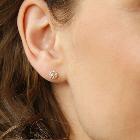 Damen Ohrstecker Gold 375 Zirkonia Blume - Ohrstecker Damen | OROVIVO