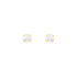 QAITLIN Damen Ohrstecker Gold 375 (9 Karat) Zirkonia Wei&szlig; 0,16 ct Kreis