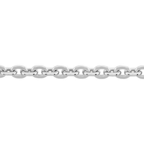 Damen Ankerkette Weißgold 375  - Halsketten Damen | OROVIVO