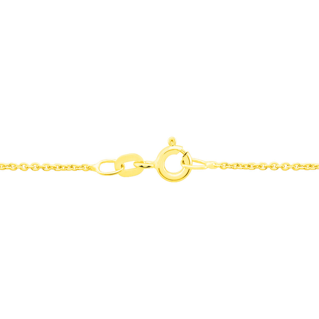 ANKER Damen Kette Gold 585 (14 Karat) B 1,1 mm - Halsketten Damen | OROVIVO