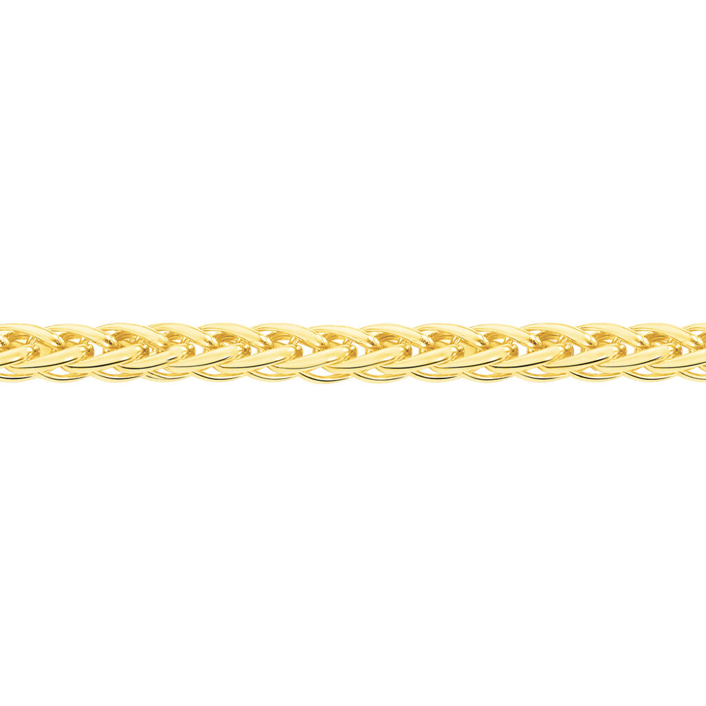 Collier Jany Maille Palmier Or Jaune - Spannringe Damen | OROVIVO