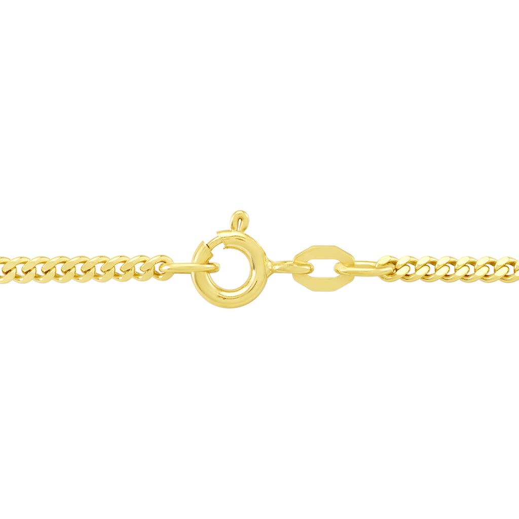 PANZER 4 Unisex Kette Gold 375 (9 Karat) B 2,1 mm