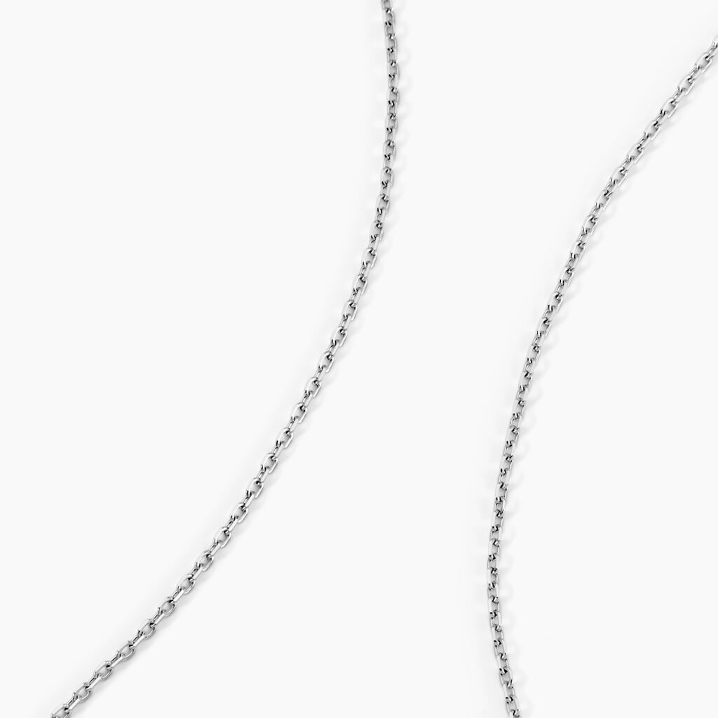 Chaîne Maille Forçat Diamantee Or Blanc - Spannringe Familie | OROVIVO