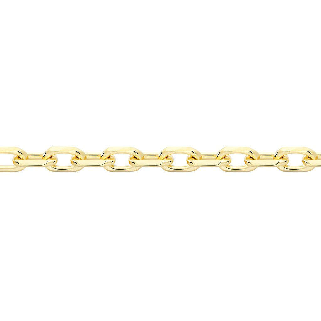 ANKER DIA. 7 Damen Kette Gold 375 (9 Karat) B 1,7 mm