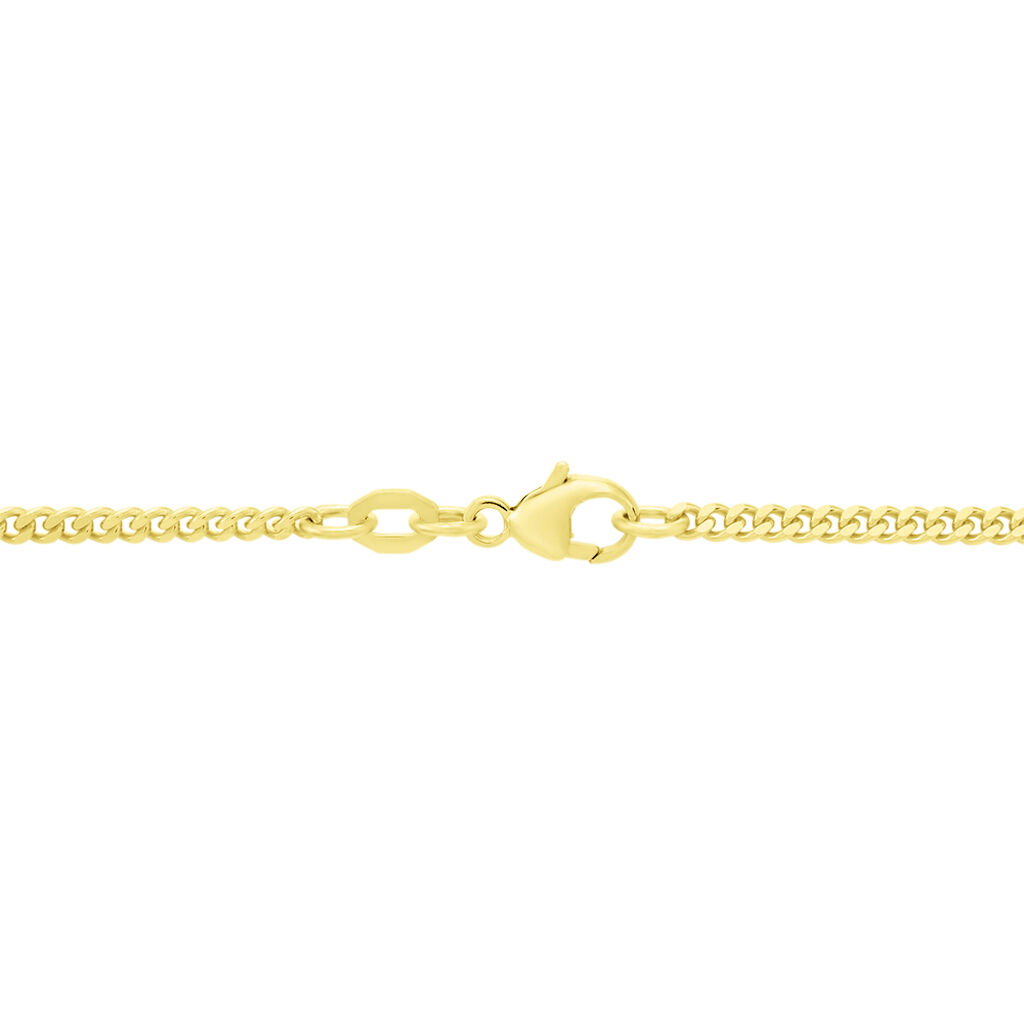 Unisex Panzerkette Gold 375  - Halsketten Unisex | OROVIVO