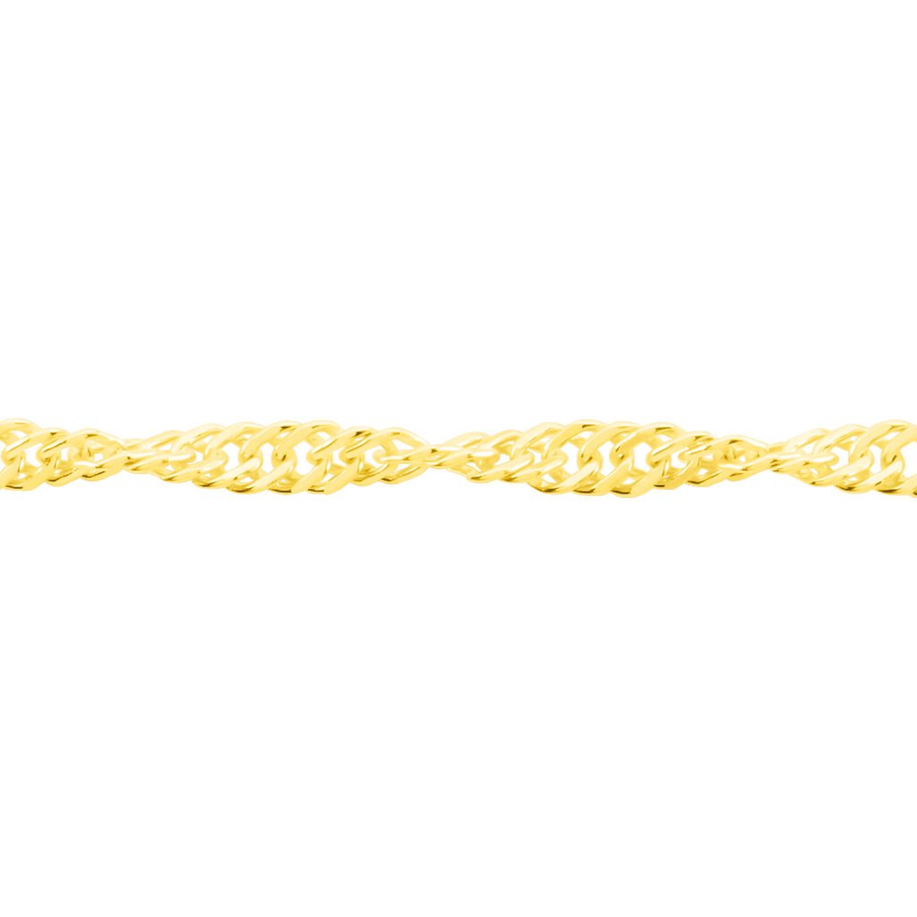 Damen Singapurkette Gold 375  - Halsketten Damen | OROVIVO