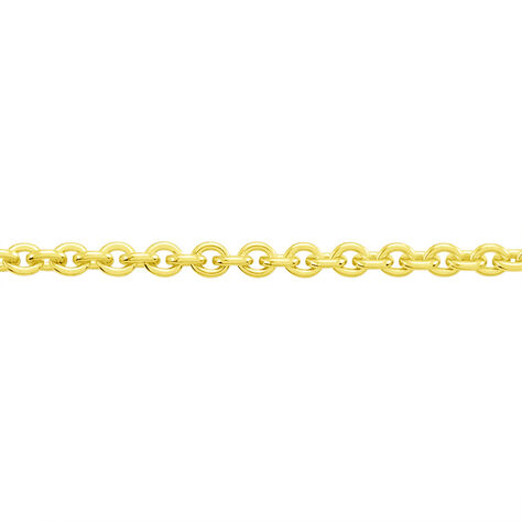 Damen Ankerkette Silber 925 vergoldet  - Halsketten Damen | OROVIVO