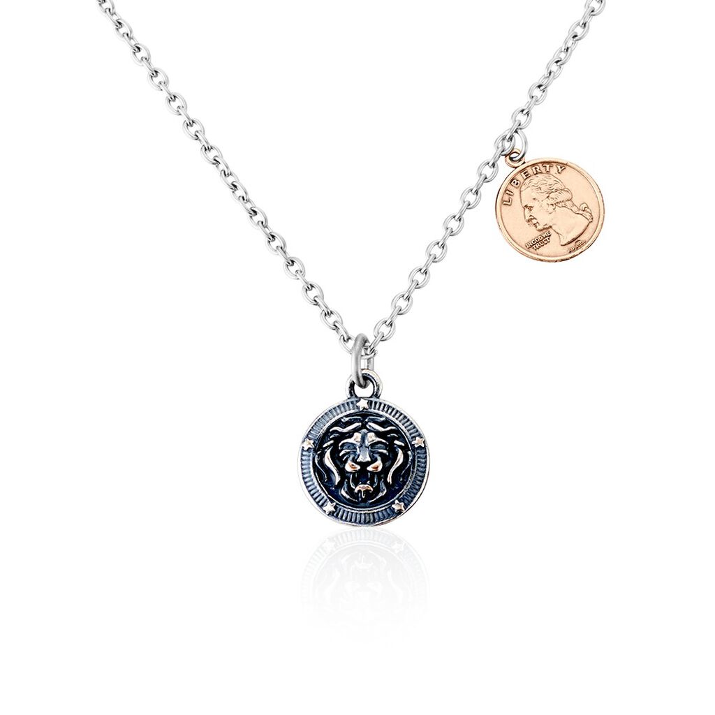 🦚 Herren Halskette Edelstahl Löwenkopf , Collier ohne Stein