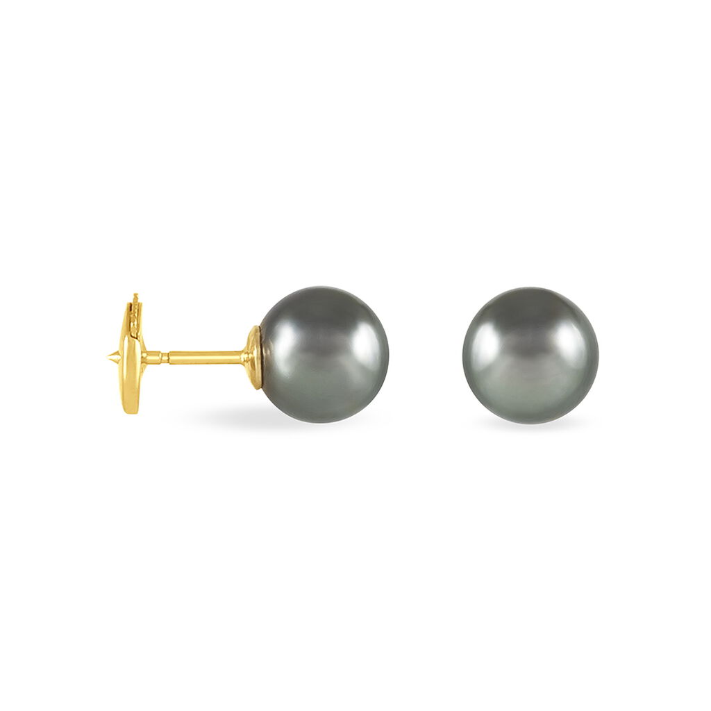 Boucles D'oreilles Puces Souheila Or Jaune Perle De Culture De Tahiti - Spannringe Damen | OROVIVO