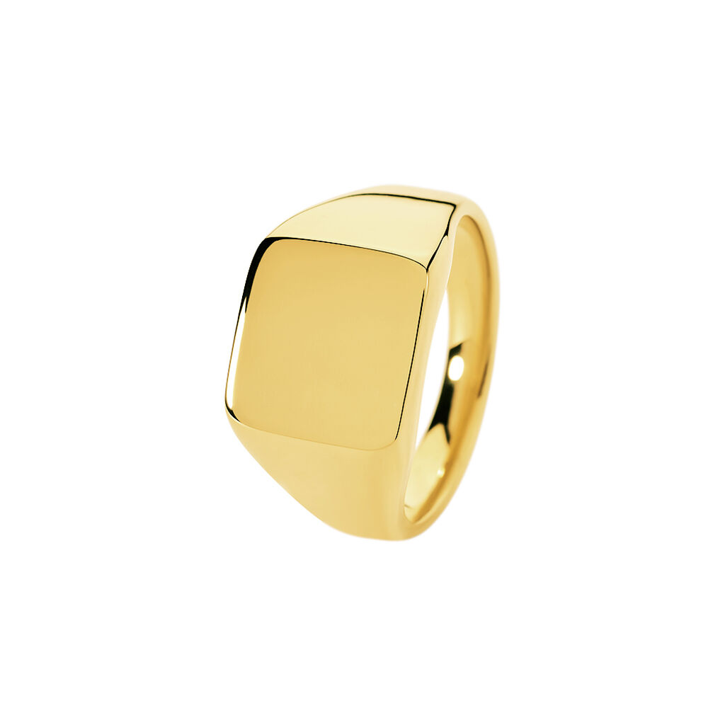 ERICH Herren Siegelring Edelstahl vergoldet Viereck B 13,2 mm
