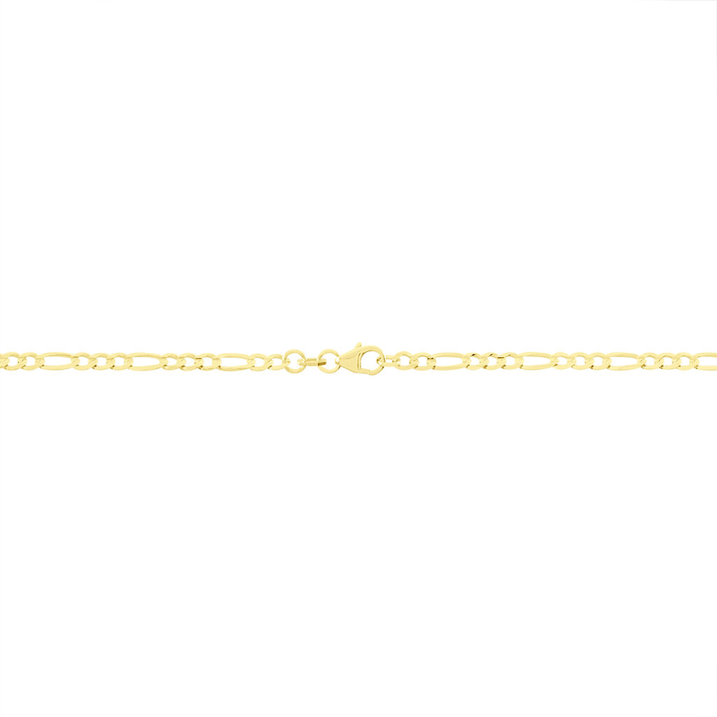 Unisex Figarokette Gold 375  - Halsketten Unisex | OROVIVO