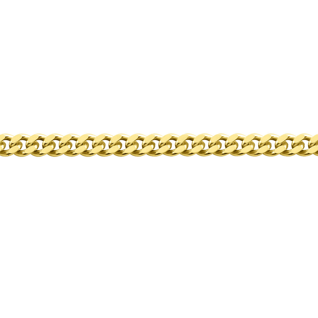 PANZER 4 Unisex Kette Gold 375 (9 Karat) B 2,1 mm, Kette ohne Stein