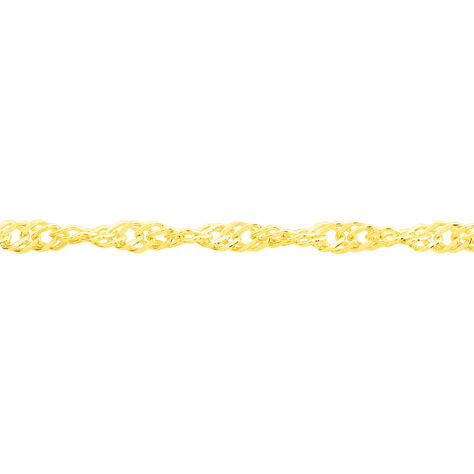 Damen Singapurkette Gold 585  - Halsketten  | OROVIVO