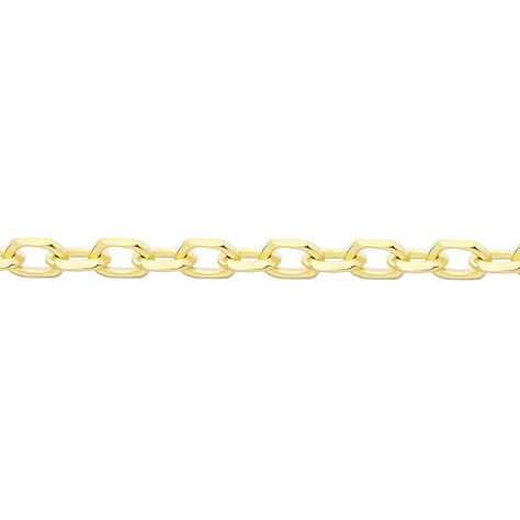 Damen Ankerkette Gold 375 Diamantiert  - Halsketten Damen | OROVIVO